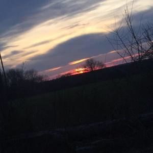 Meet your Posher, Jacquilynn